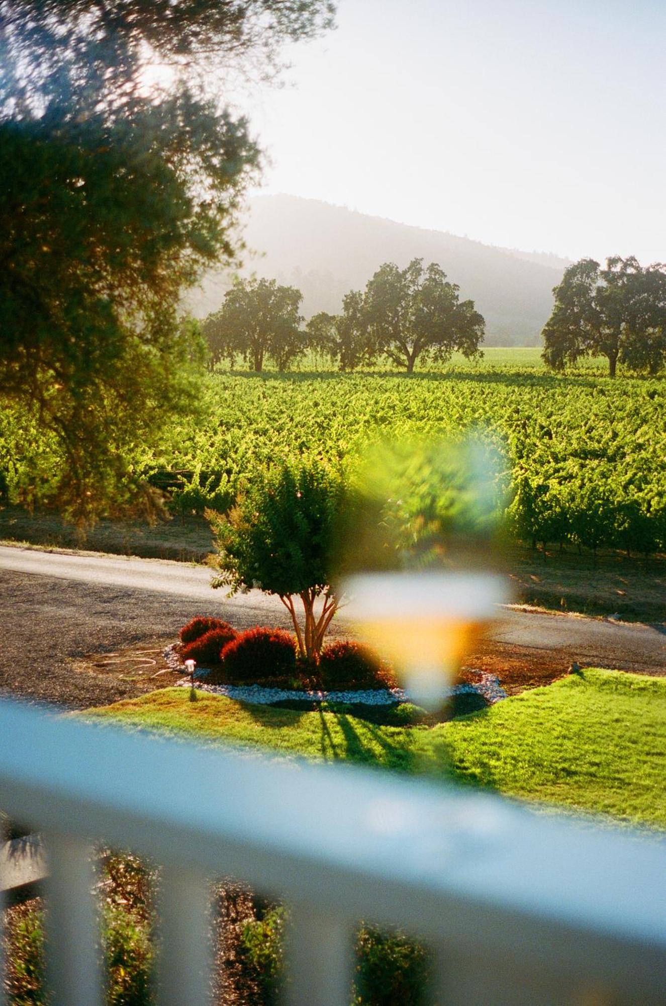 The Setting Inn Napa Valley Exterior photo